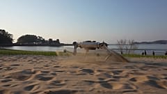 The quadruped robot RaiBo running on a beach in South Korea.