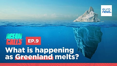 Ocean Calls. Episode 9.