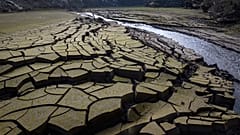 Trockenheit - in vielen Teilen Westeuropas ein Problem