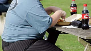 عکس تزیینی است