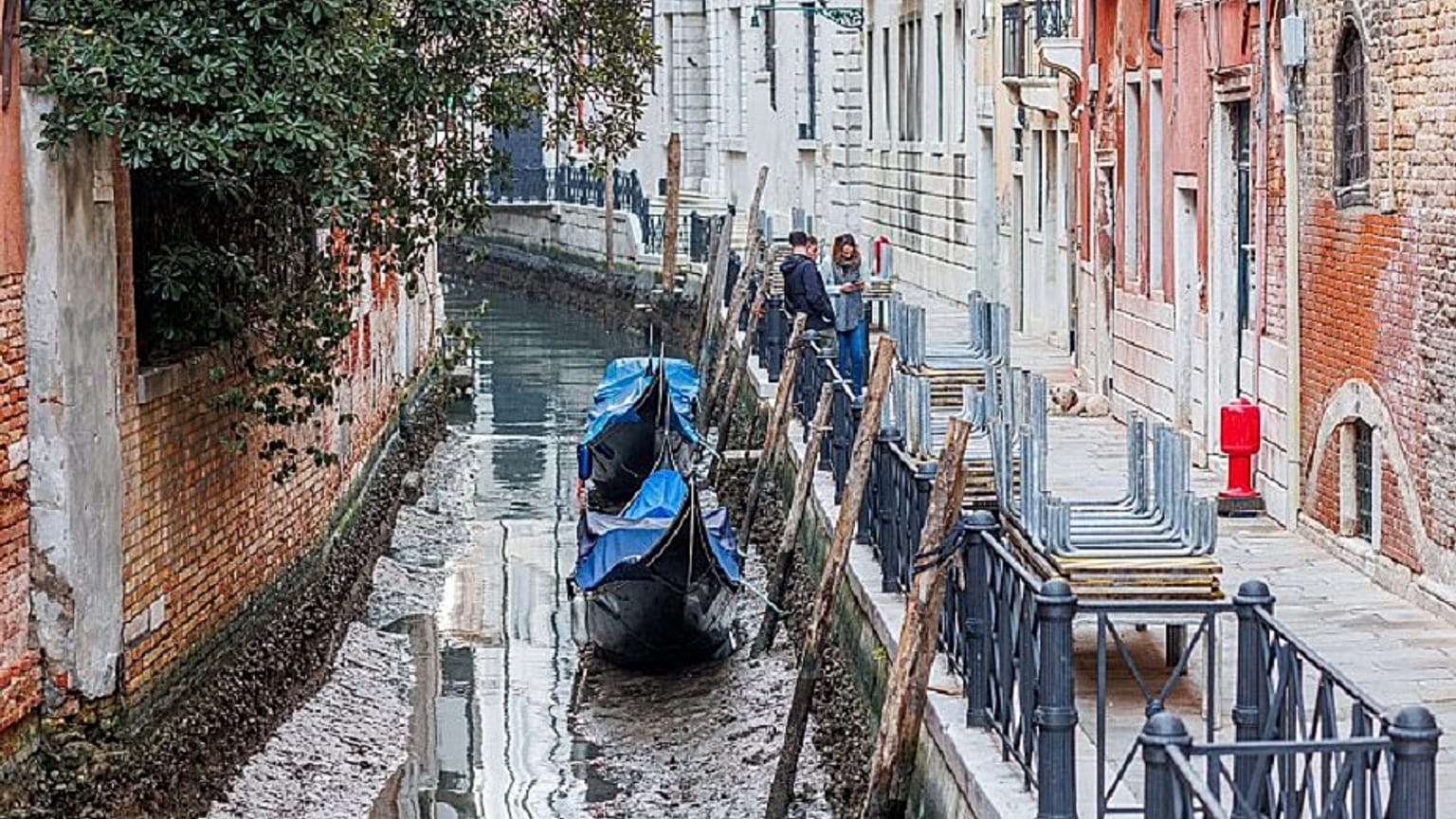 During January and February, there is usually a period of a few days when the water levels of Venice’s canals drop.   -  