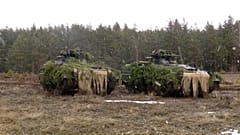 Deutsche Panzer in Litauen