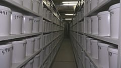 Fast zehntausend in Formalin konservierte Gehirne lagern im Keller der Universität von Süddänemark,