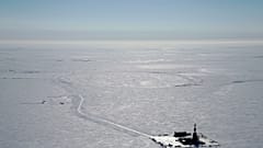Versuchsbohrungen von ConocoPhillips in Alaska