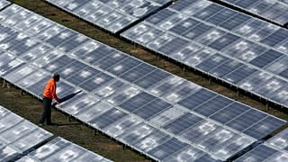 El Gobierno de España ha dado el visto bueno a 182 macro-parques eólicos y solares desde principios de 2022, en una superficie de 53 000 hectáreas.