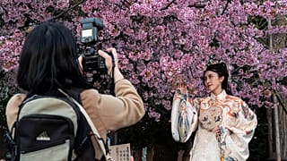  Frau posiert unter den besonders frühen Blüten im Ueno-Park