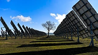 LA tree is surrounded by solar panels in Los Arcos, Navarra Province, northern Spain.