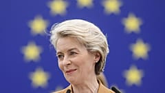 The President of the European Commission at the European Parliament. 