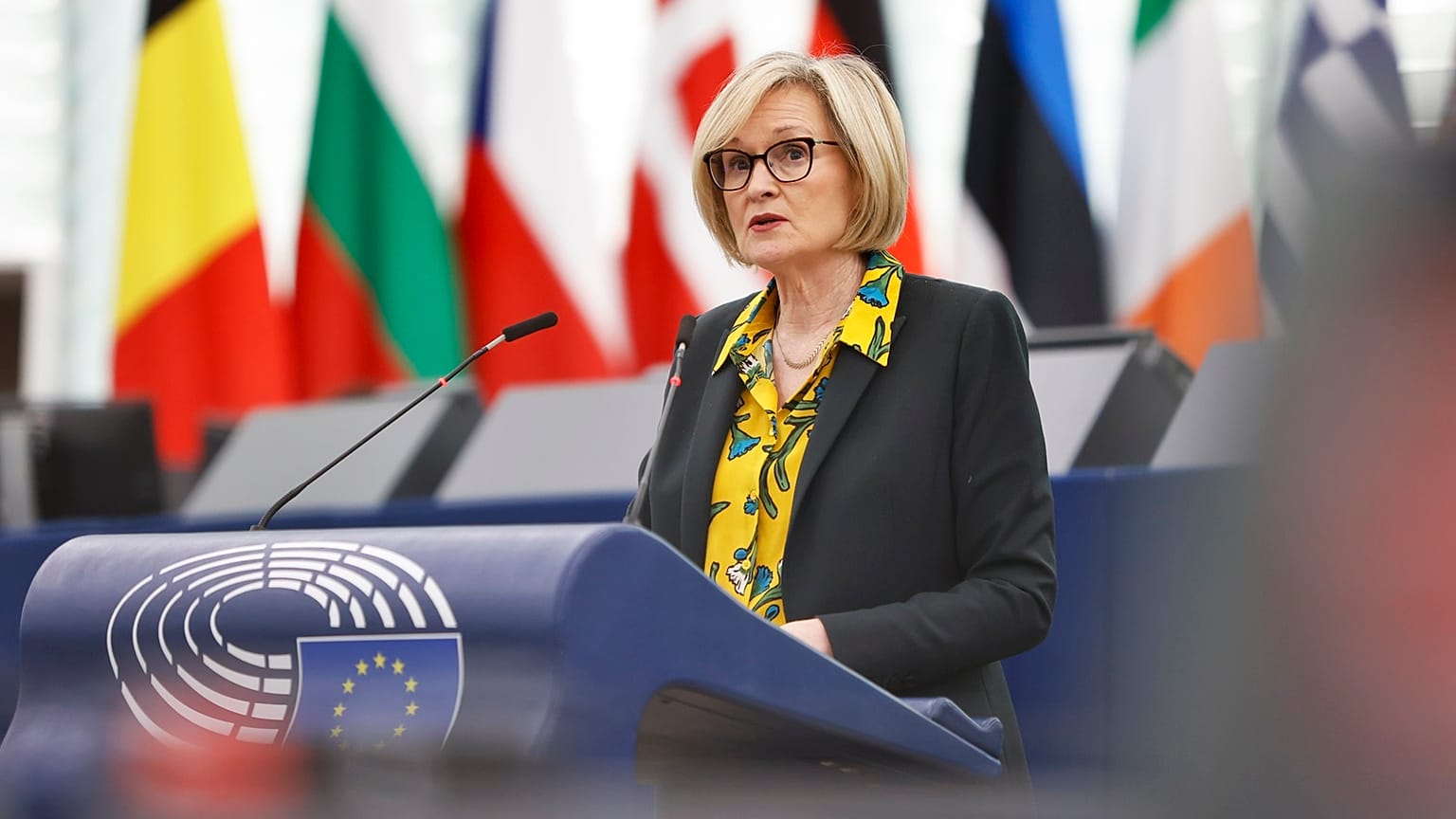 European Commissioner Mairead McGuinness urged lawmakers to draw lessons from the collapse of two American banks.