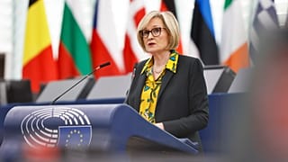 European Commissioner Mairead McGuinness urged lawmakers to draw lessons from the collapse of two American banks.