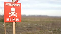 Die Arbeit und das Leben von Landwirten in Cherson ist durch nicht explodierte Sprengkörper in Gefahr.