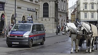 Rendőrautó és fiáker a Stephansdom előtt
