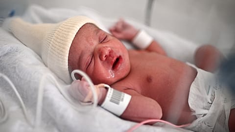 A new-born baby lies in an incubator moments after her birth in Paris. France has the highest fertility rate in the EU.