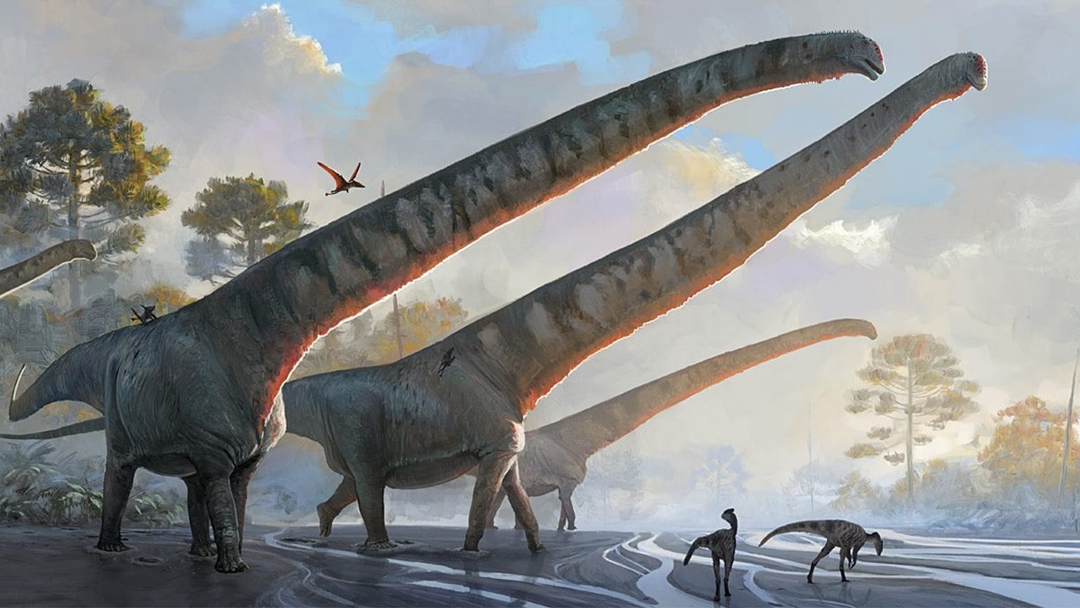 Mamenchisaurus Sinocanadorum'un 15 metre uzunluğunda boynu olduğu anlaşıldı