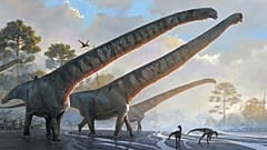 Mamenchisaurus Sinocanadorum'un 15 metre uzunluğunda boynu olduğu anlaşıldı