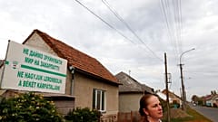 Die transkarpatischen Ungarn wollen ihre eigene Sprache sprechen dürfen.