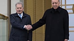 Turkish President Recep Tayyip Erdogan, right, and Finland's President Sauli Niinisto shake hands during a welcome ceremony at the presidential palace in Ankara