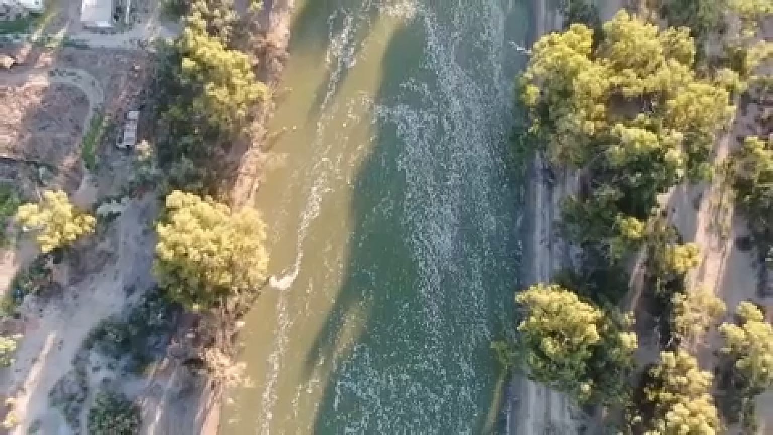 Εκατομμύρια νεκρά ψάρια στο ποτάμι Ντάρλινγκ στην Αυστραλία