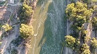 Εκατομμύρια νεκρά ψάρια στο ποτάμι Ντάρλινγκ στην Αυστραλία