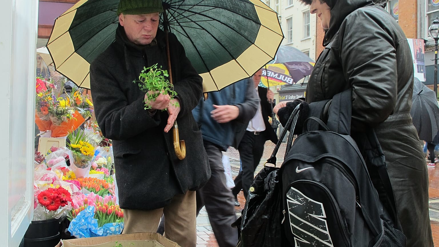 Un vendedor de tréboles en una calle de Dublín.