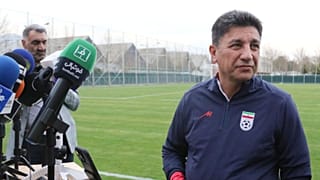 امیر قلعه‌نویی