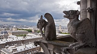Gárgulas de Notre-Dame, Paris