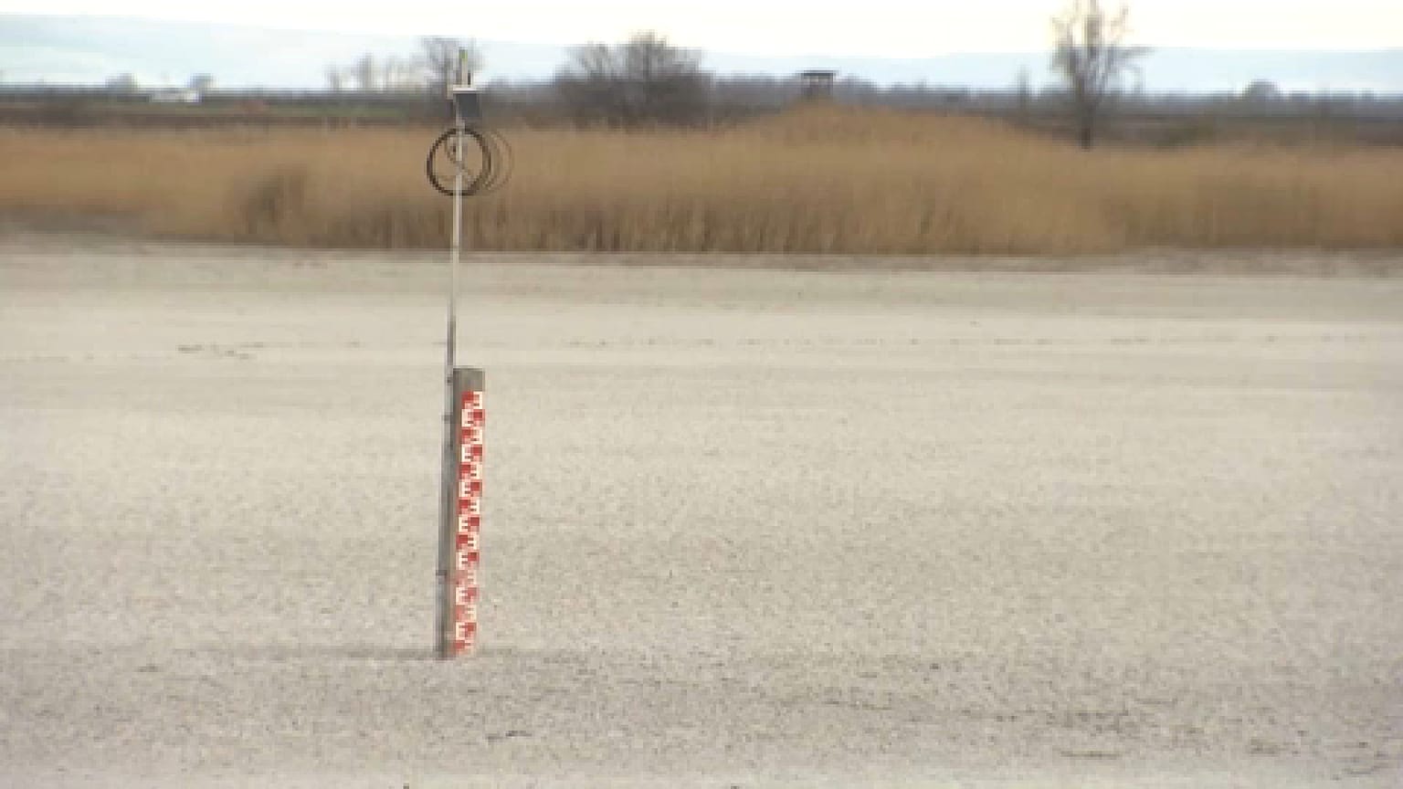 Fertő tó