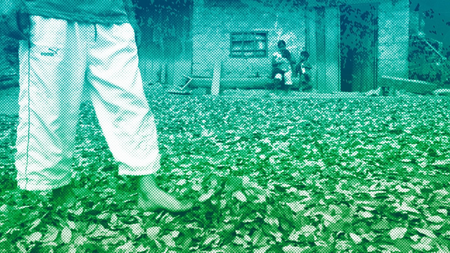 a coca farmer walks on drying coca leaves in Omaya, Peru, in 2009