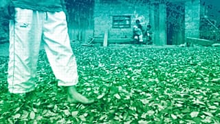 a coca farmer walks on drying coca leaves in Omaya, Peru, in 2009