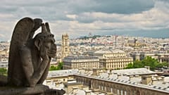 A gargoyle of the Notre Dame Cathedral is seen on July 8, 2014 in Paris. 