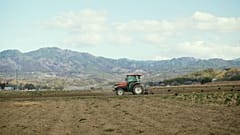 Die Landwirtschaft in Fukushima lebt wieder auf