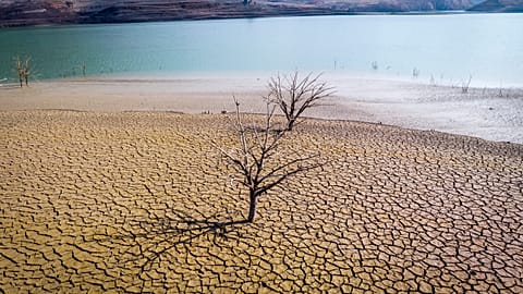 Средний уровень водохранилищ в Каталонии составляет около 27% от их емкости