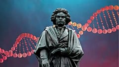 A estátua do compositor em Bona, a sua terra natal