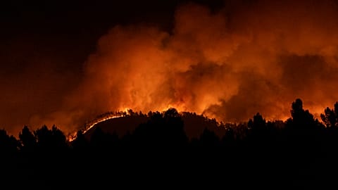 Smoke billows from a forest under immense stress from a roaring wildfire in eastern Spain