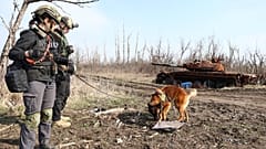 Ukrán utászok bombakereső kutyával
