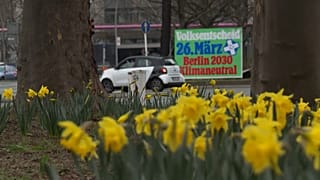 Berlim vota neutralidade climática até 2030
