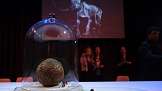 Mamut köftesinin tanıtımı Hollanda'nın Amsterdam kentinde yapıldı
