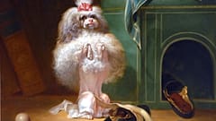 La colección Wallace ofrece una exposición centrada en retratos del mejor amigo del hombre. 