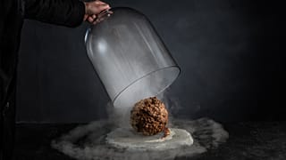 Meatball from extinct mammoth unveiled by Australian food tech firm Vow.