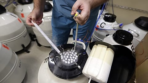 Embryologist Rick Slifkin displays some of the frozen sperm stored at Reproductive Medicine Associates of New York, ,Oct. 3, 2013. 