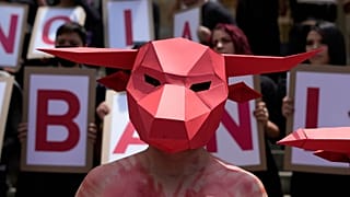 "Колумбия находится в процессе построения мира, и этот мир должен быть построен с природой и с животными"