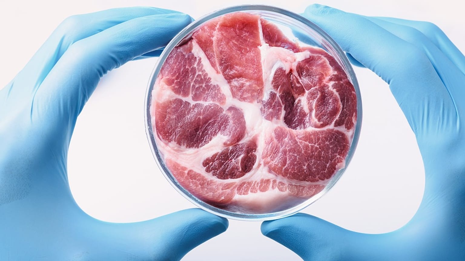 Italy's government has approved a bill banning the production and use of lab-grown food and feed. 