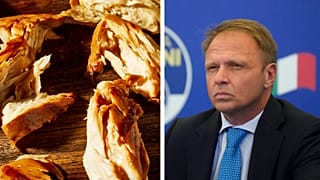 Il 28 marzo il governo italiano ha presentato un disegno di legge per vietare la produzione di carne coltivata