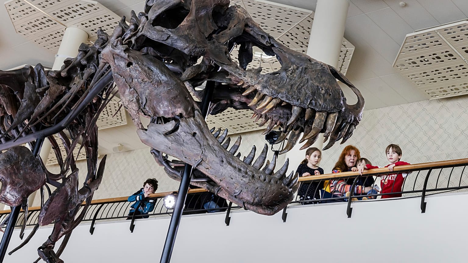 Посетители смотрят на скелет T-Rex по имени Тринити во время предварительного просмотра аукционным домом Koller в концертном зале Tonhalle Zurich в среду, 29 марта