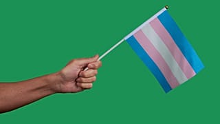 Organisers say Trans Day of Vengeance is about protest and visability and not violence.