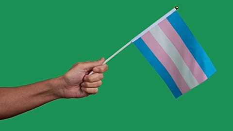 Organisers say Trans Day of Vengeance is about protest and visability and not violence.