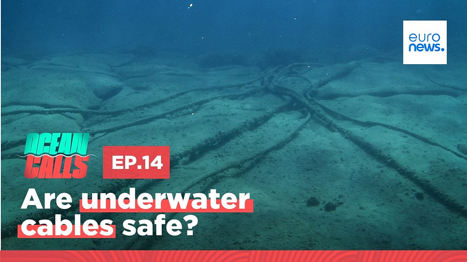 Ocean Calls. Episode 14.