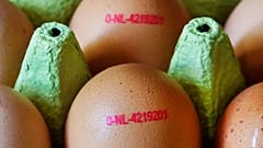 Les prix alimentaires ont augmenté de 15,4% en mars dans la zone euro