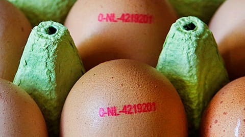 Food and alcohol inflation across the eurozone reached a 15.4% mark in March.