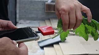 ضبط صدای گیاهان